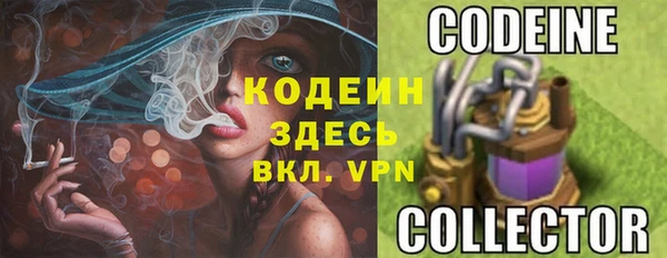 прущие грибы Беломорск