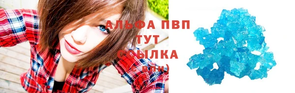 прущие грибы Беломорск