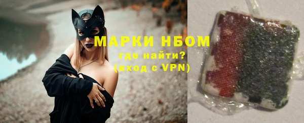 прущие грибы Беломорск