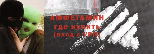 прущие грибы Беломорск