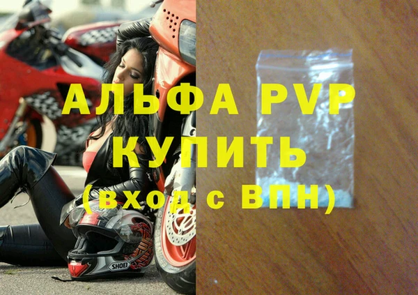 прущие грибы Беломорск