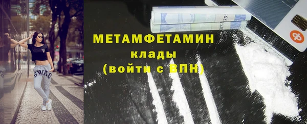 прущие грибы Беломорск