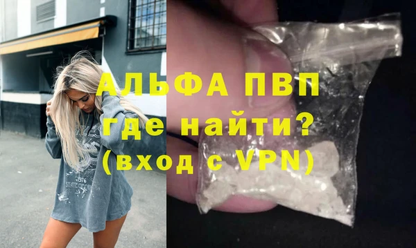 прущие грибы Беломорск
