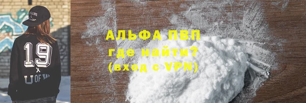 прущие грибы Беломорск